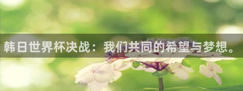 2026 世界杯:韩日世界杯决战:我们共同的希望与梦想。