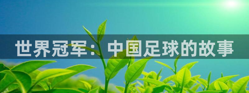 欧联杯直播:世界冠军:中国足球的故事