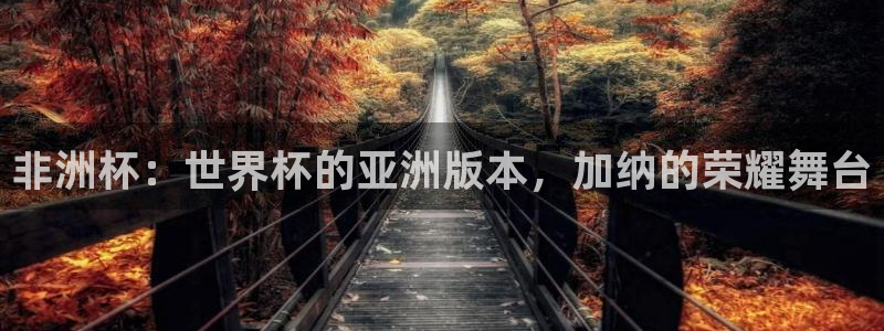 葡萄牙世界杯赛程:非洲杯:世界杯的亚洲版本,加纳的荣耀舞台