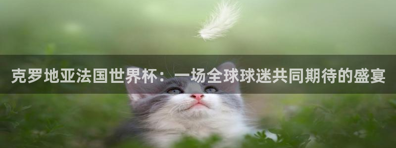 2026世界杯直播:克罗地亚法国世界杯:一场全球球迷共同期待的盛宴