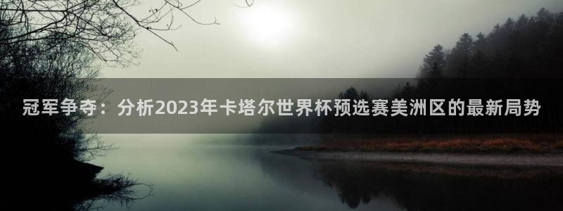 2026年世界杯:冠军争夺:分析2023年卡塔尔世界杯预选赛美洲区的最新局势