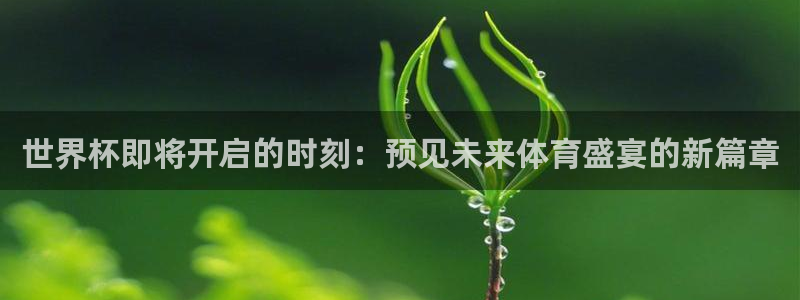 世界杯直播网站:世界杯即将开启的时刻:预见未来体育盛宴的新篇章
