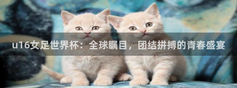 2026男足世界杯赛程:u16女足世界杯:全球瞩目,团结拼搏的青春盛宴