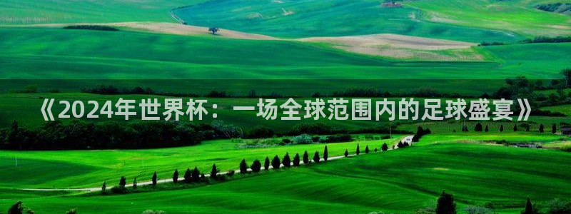 美国世界杯:《2024年世界杯:一场全球范围内的足球盛宴》